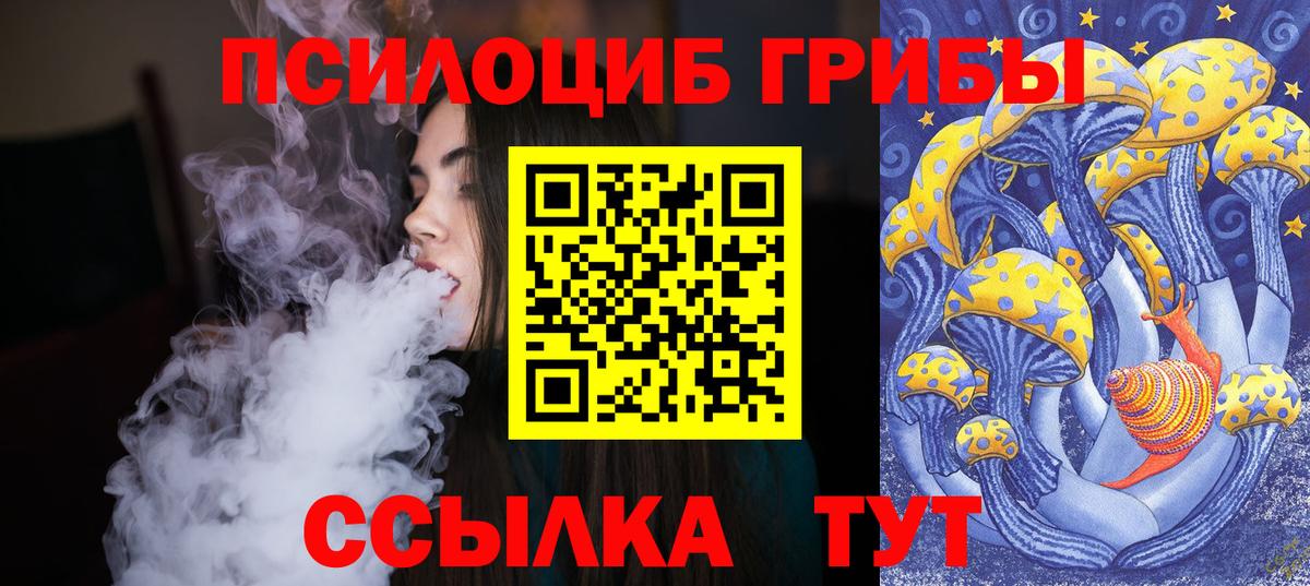 Киселёвск  как найти   Вход с VPN  Галлюциногенные грибы мухоморы 
