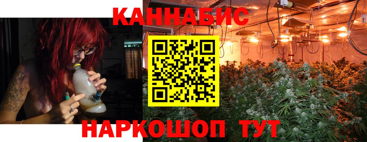 Конопля семена  Каннабис конопля  Канабис марихуана  Бошки Шишки LSD WEED  Киселёвск  Вход с VPN 